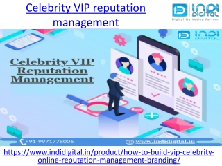 Get the best Celebrity VIP reputation management