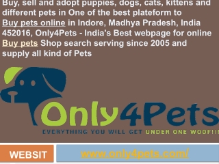 Sell pets online, Buy pets online