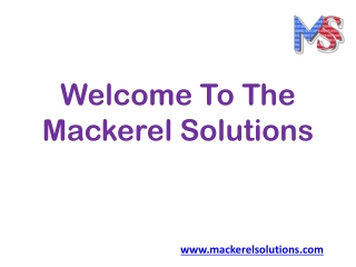 Software Development Company - Mackerel Solutions