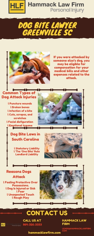 Dog Bite Lawyer Greenville SC