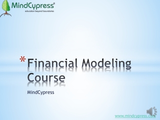 [Mindcypress]Financial Modeling Cousre /Business Development