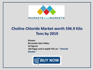 Choline Chloride Market - Regional Trends & Forecast to 2019