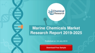 Marine Chemicals Market Research Report 2019-2025