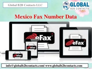 Mexico Fax Number Data