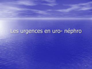 Les urgences en uro- néphro
