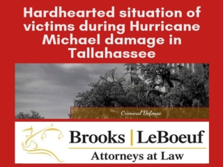 The sincere approach of local attorneys to get Hurricane Insurance Claims