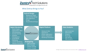 Zentryx health report for customer promotions