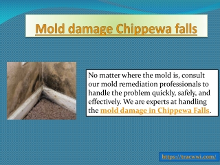 Mold damage Chippewa falls