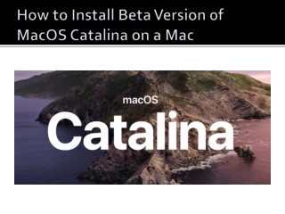 How to Install Beta Version of MacOS Catalina on a Mac