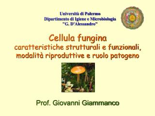 Cellula fungina caratteristiche strutturali e funzionali, modalità riproduttive e ruolo patogeno