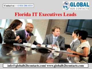 Florida IT Executives Leads