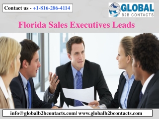 Florida Sales Executives Leads