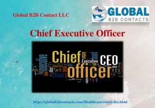 Chief Executive Officer