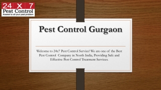 Pest Control Services