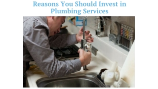 Reasons You Should Invest in Plumbing Services