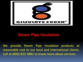 Steam Pipe Insulation