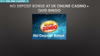 No Deposit Bonus at UK Online Casino - Quid Bingo