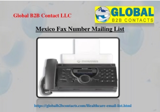 Mexico Fax Number Mailing List