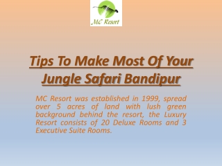 Bandipur Jungle Safari Lodges