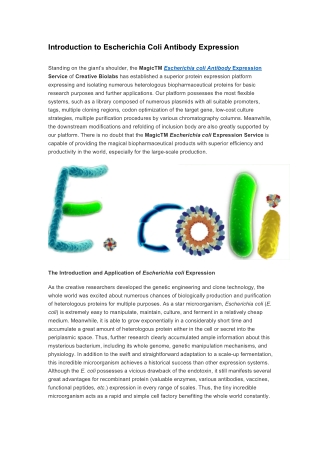 Introduction to escherichia coli antibody expression