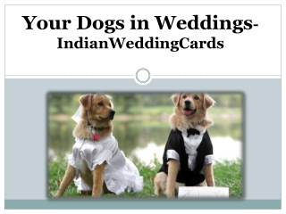 How to Include Your Dogs in Weddings – IndianWeddingCards