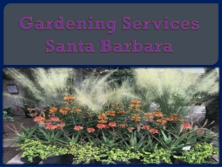 Gardening Services Santa Barbara