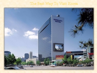 The Best Way To Visit Korea