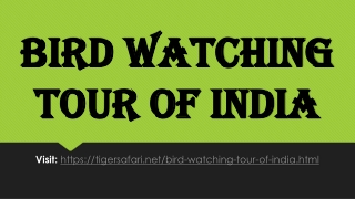 Bird Watching Tour of India