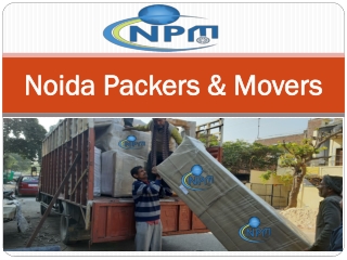 Packers and Movers Services in Noida