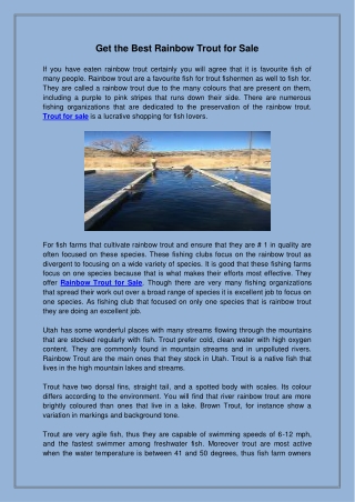 Get the Best Rainbow Trout for Sale