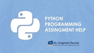 Python Programming Assignment Help