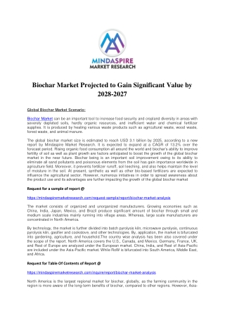 Biochar Market Projected to Gain Significant Value by 2028-2027