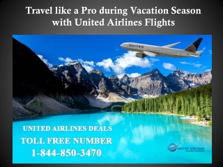 Travel like a Pro during Vacation Season with United Airlines Flights