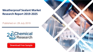 Weatherproof Sealant Market Research Report 2019-2025