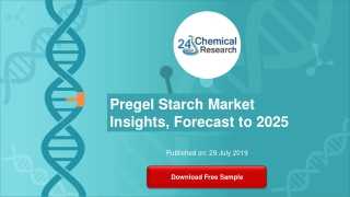 Pregel Starch Market Insights, Forecast to 2025