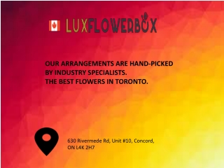 Luxflowerbox Shop