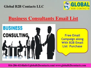 Business Consultants Email List