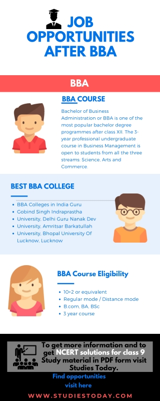 Job Opportunities After BBA