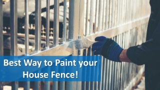 Best Way to paint your house Fence!