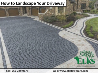 3 Methods of Landscaping Your Driveway at Jacksonville NC