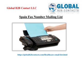 Spain Fax Number Mailing List