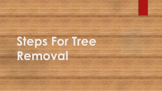Steps For Tree Removal