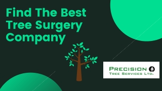 Find The Best Tree Surgery Company