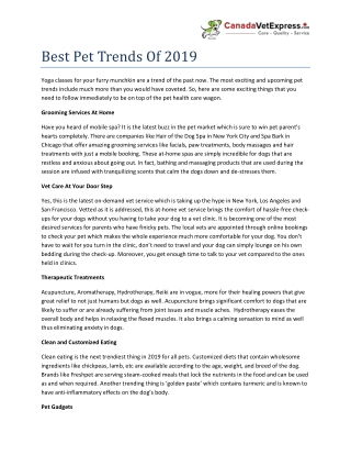 Best Pet Trends of 2019 - CanadaVetExpress