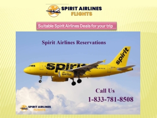 Book Cheap flight tickets with ultimate Spirit Airlines deals