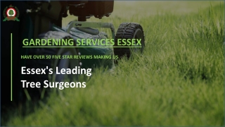 Garden Maintenance Services Rochford | Gardeners in Essex