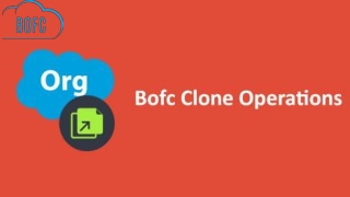 Bulk Object Field Creator Clone Operations