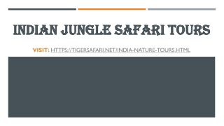 Indian jungle safari tours