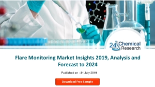 Flare Monitoring Market Insights 2019
