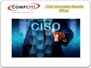 Virtual Chief Information Security Officer